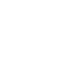 Icon inclusion