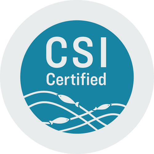 CSI