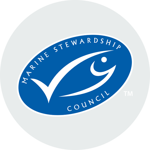MSC