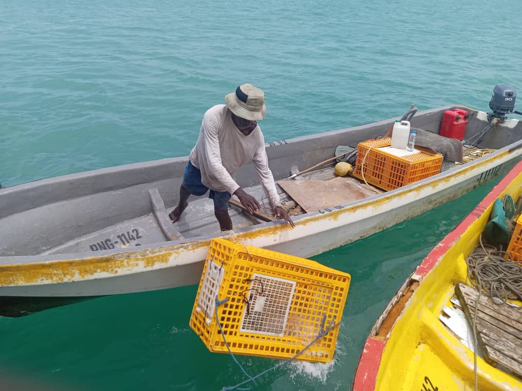 Lobster cages at the Torre Strait Protected Area